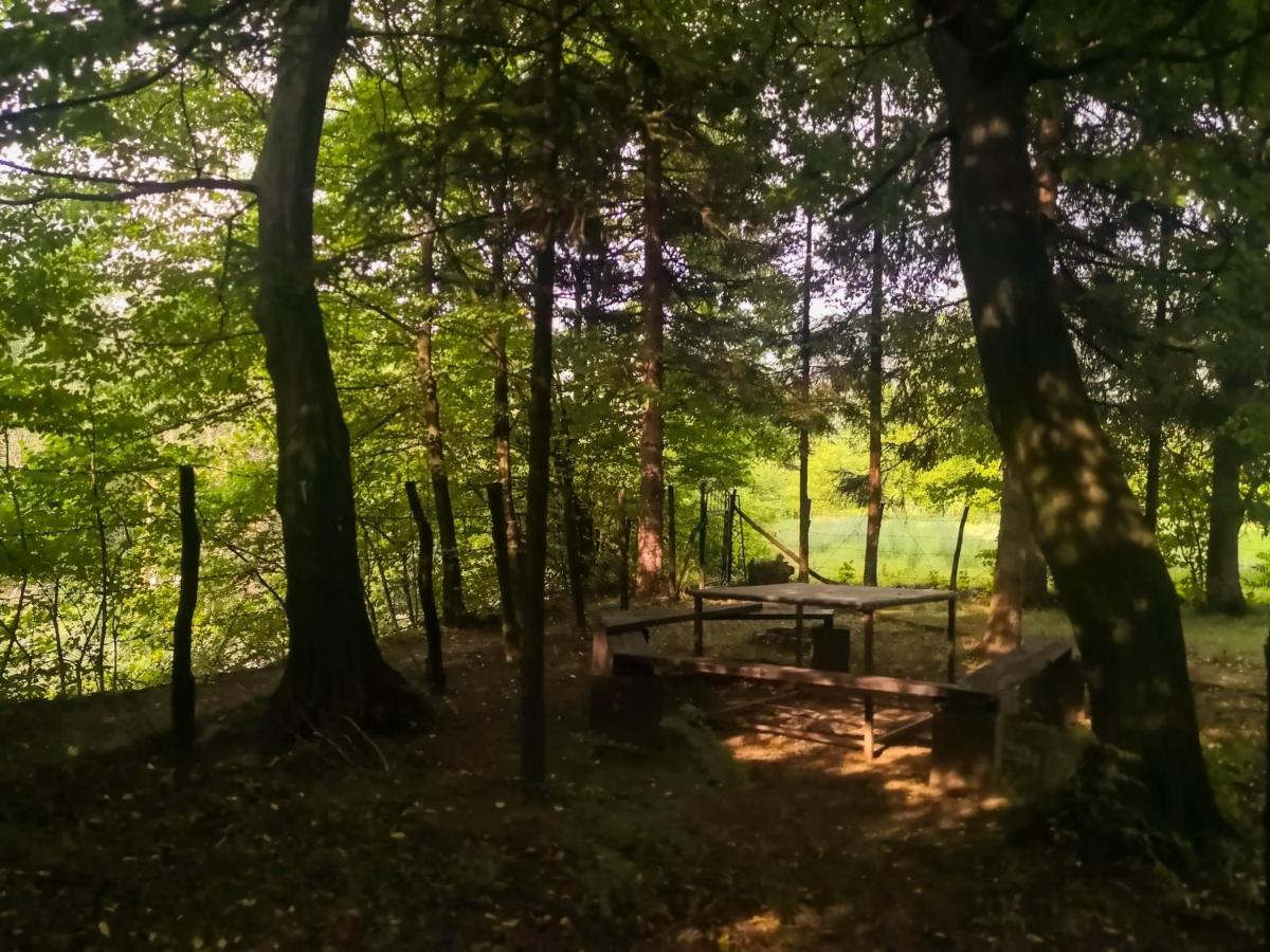 Lodge Zbilje Visoko, Bosnian Pyramids Eksteriør billede