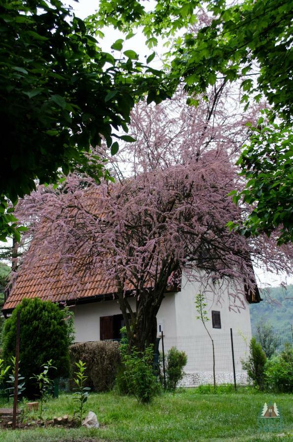 Lodge Zbilje Visoko, Bosnian Pyramids Eksteriør billede