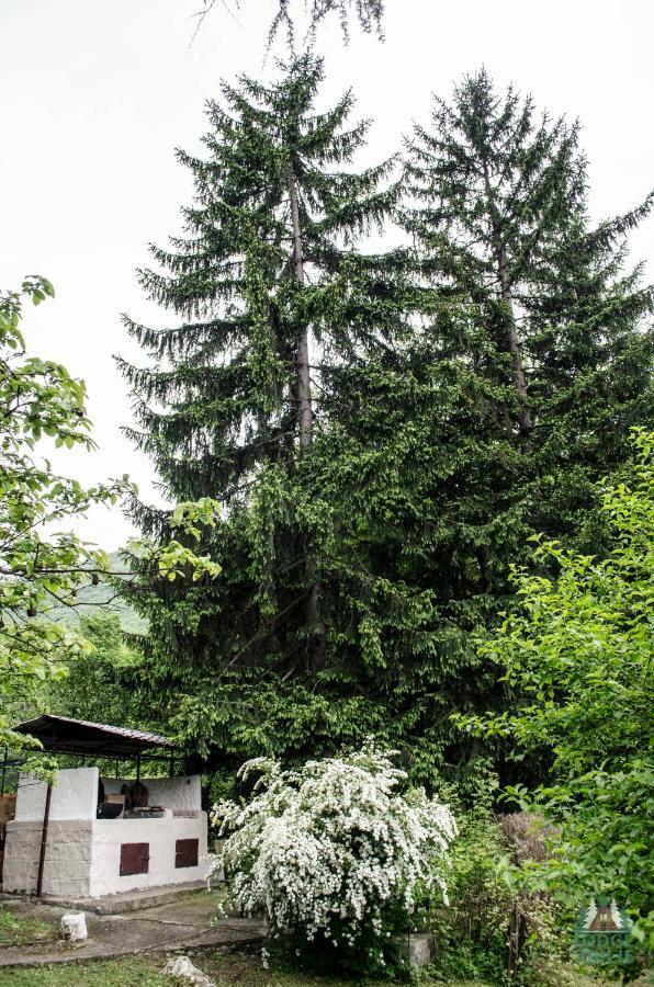 Lodge Zbilje Visoko, Bosnian Pyramids Eksteriør billede